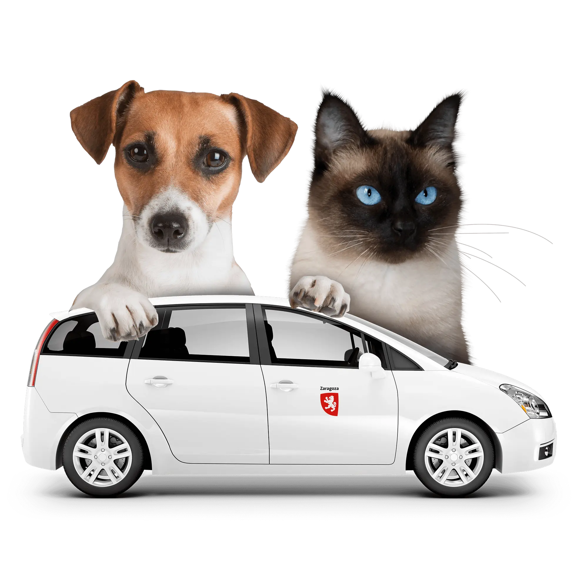 Mascota Taxi: La mejor opción para transportar a tu mascota - Cómo puedo transportar a mi mascota mascota taxi - Cómo puedo transportar a mi mascota