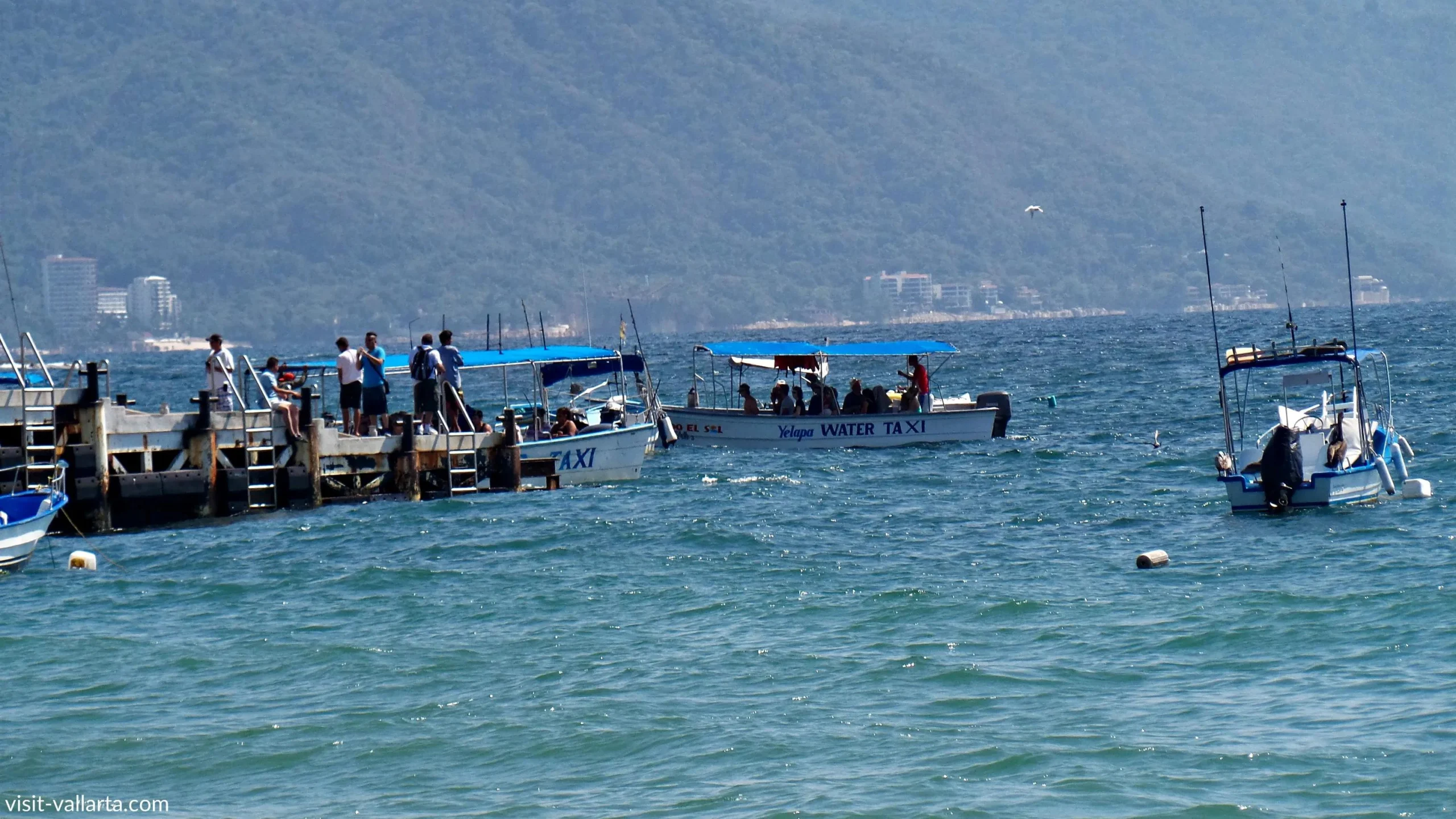 taxi acuatico puerto vallarta - Cómo se llega a Yelapa de Puerto Vallarta